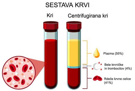 Krvna Plazma In Prp Metoda Za Pospe Eno Celjenje