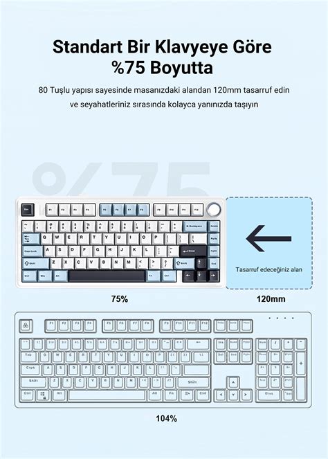 Aula F Mekanik RGB TKL Gray Switch Kablosuz Makrolu Hot Swap Klavye Siyah