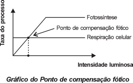 Ponto De Compensação Fótica - FATEC 2026/1 O ponto de compensação fótico (PCF) de uma | Estuda.com