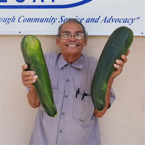 how to store zucchinis 6