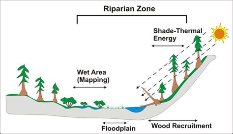 Select Three Ways Riparian Zones Are Damaged