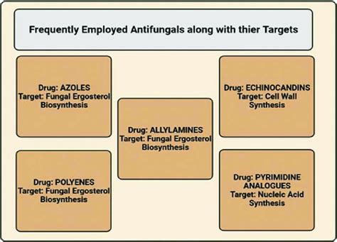 3 Some Frequently Utilized Antifungal Drugs And Their Targets Download Scientific Diagram