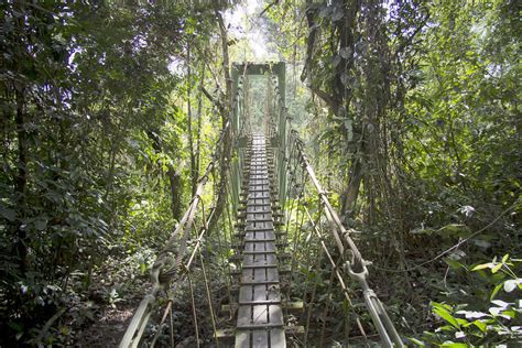 Clima En Parque Nacional De Gunung Mulu En Abril 2024 Tiempo