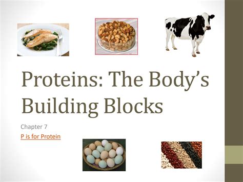 Solution Chapt Proteins Autosaved Studypool