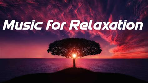 Relaxation Music Insomnia Calming Music Sleep Music Meditation