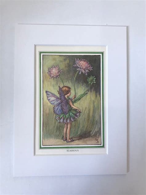 The Scabious Fairy Mounted Vintage Flower Fairies Art Print Genuine