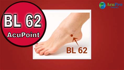 BL 62 Acupuncture Point YouTube