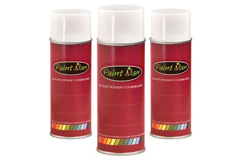 Coach Enamel Aerosol Pack - Paintman Paint