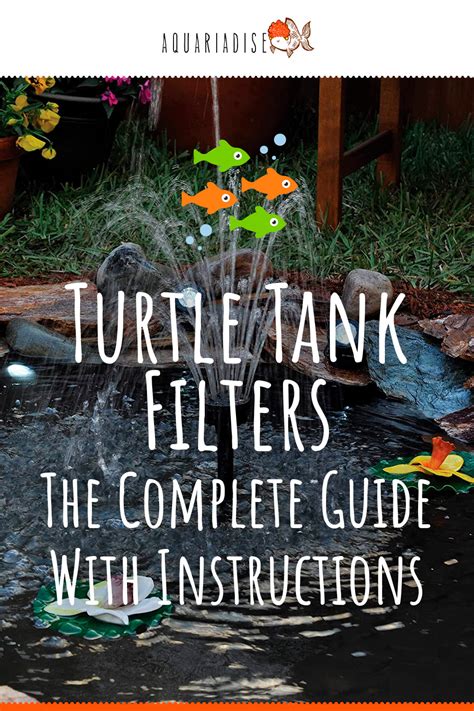 Turtle Tank Filters: The Filtration System Your Tank Needs