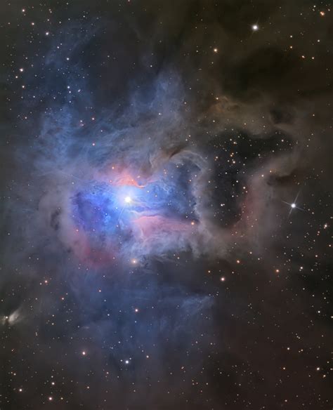 NGC7023 The Iris Nebula SkyCenter