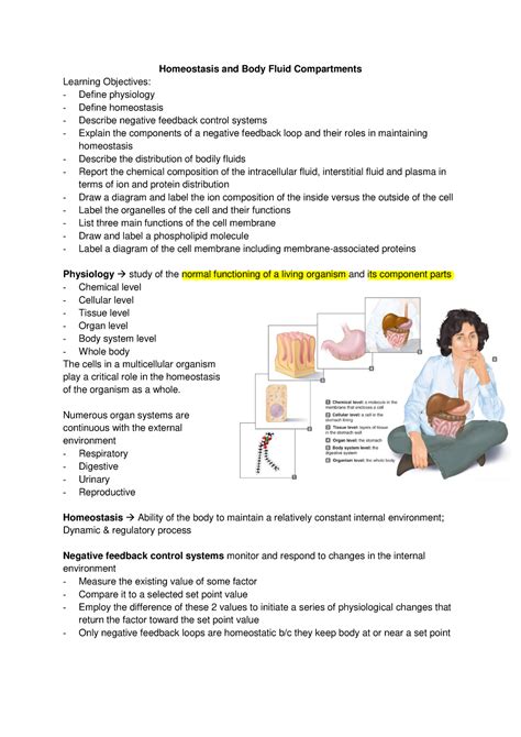 Physiology Combined Lecture Notes All Lectures Homeostasis And Body