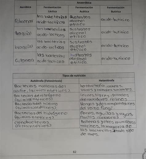 Instrucciones Con Base A La Lectura Anterior Completa Los Siguientes