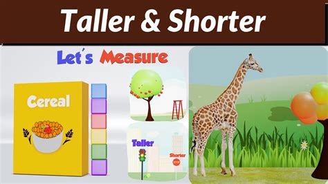 Shorter Taller