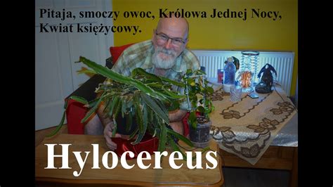 Hylocereus Bardziej Znany Pod Nazw Pitaja Lub Smoczy Owoc Youtube