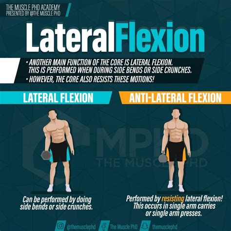 💥 Lateral flexion is another common way we see the core trained – this occurs in exercises like ...