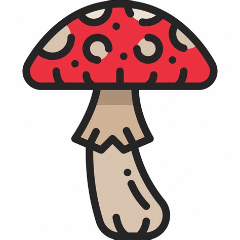 Fungi Toadstool Forest Poison Mushroom Nature Icon Download On