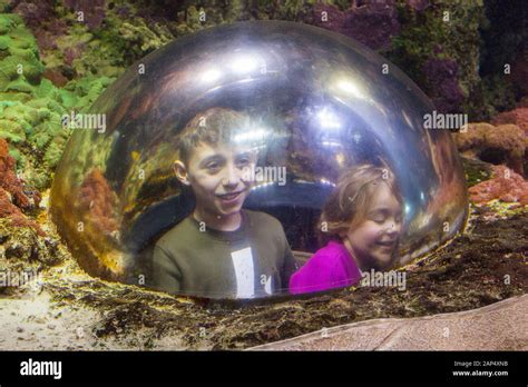 Haus Des Meeres Aquarium Ein Ehemaliger Deutscher Weltkrieg Zwei Anti