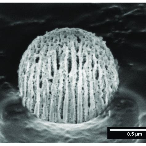 Focused ion beam scanning electron microscopy (FIB-SEM) of a MIL-100... | Download Scientific ...