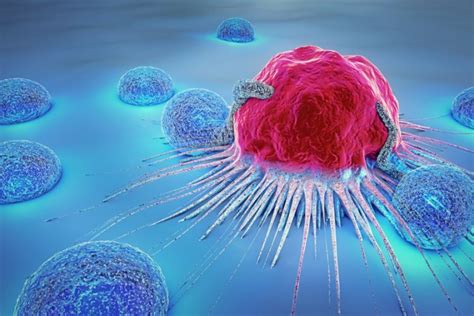 Early Natural Killer Cells More Effective Than Adult Versions Find