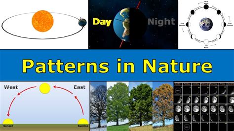 What Are The 10 Patterns Of Nature