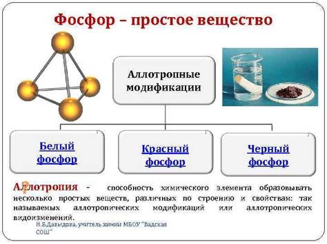 Фосфор — элемент жизни и мысли А