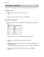 Lab Biology Pcr Worksheet Docx Bsc Lab Biology Pcr Lab