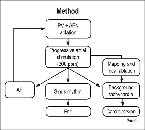 Scielo Brasil Atrial Fibrillation Ablation In Systolic Dysfunction