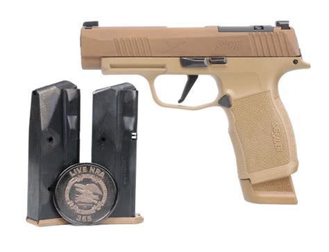 Sig Sauer P365 XL Comp Rose Romeo Zero 9mm Pistol Vaultek Pistol Safe