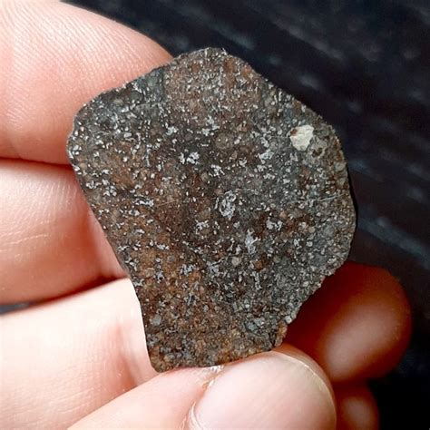 Nwa 869 Famous L3 6 Chondrite Meteorite Endcut 12 G Catawiki