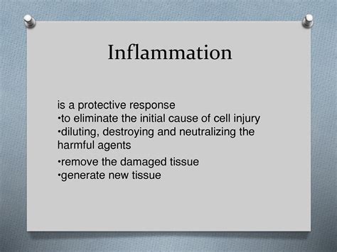 Solution Acute And Chronic Inflammation Studypool