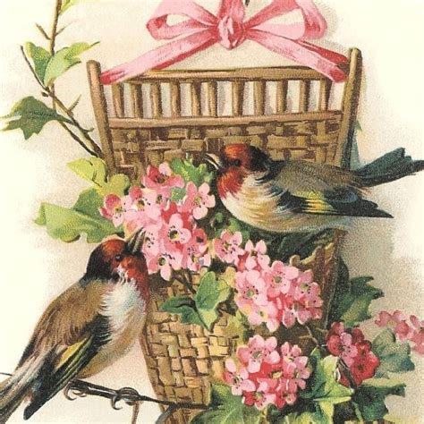 2 Victorian Illustrations Birds And Flowers Our Cottage Garden Bird