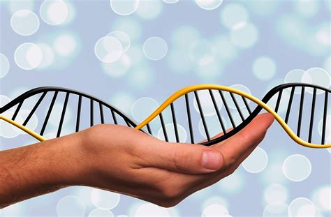 Terapie per la longevità, nuovi esperimenti: ed ecco la pillola che