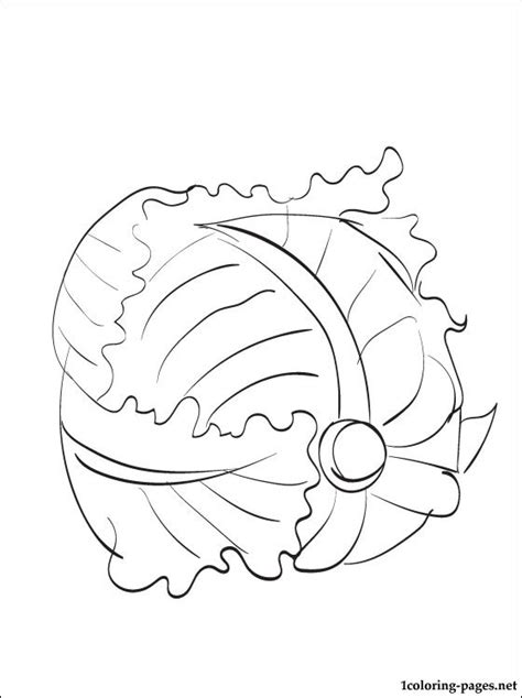 Lettuce Printable And Coloring Page Coloring Pages