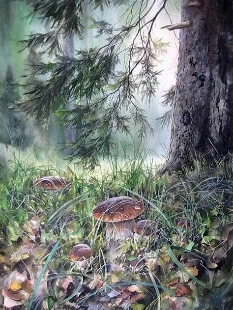 Акварельные грибы Александра Вязьменского. | Nature illustration ...