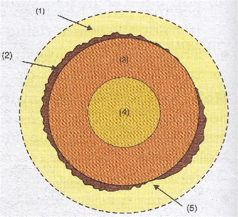 Icse Solution For Class 9 Geography Earths Structure Part 2 For Cbse Icse Ias Net Nra 2024