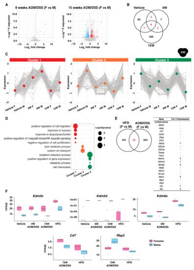 Ijms Special Issue Immunity And Inflammation In Health And Disease