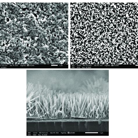 Sem Images Exhibiting The Morphology Of The Zno Seed Layer Before And