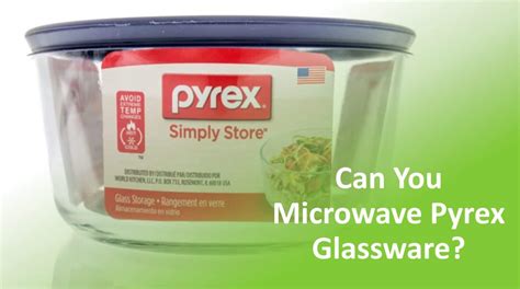 Best Microwave Steamer Reviews Guide Food Champs