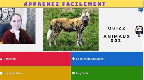 Saurez Vous R Pondre Ces Questions Sur Les Animaux Pandora Screenshot