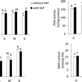 The Enzyme Activity Of Superoxide Dismutase Sod Peroxidase Pod