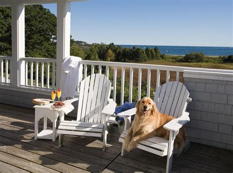 The Best Dog Friendly Luxury Hotels And Resorts