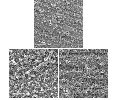 Sem Micrographs Of The Surface Of Bioactive Glass Titania Composite