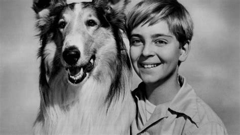 Lassie (1954) | MUBI