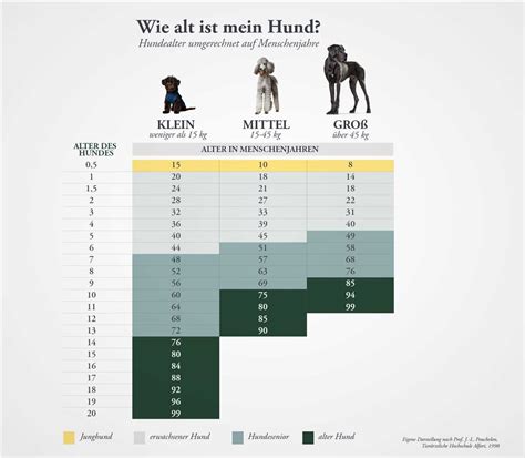 Wie viel wächst ein Hund mit 6 Monaten noch Alles was du wissen