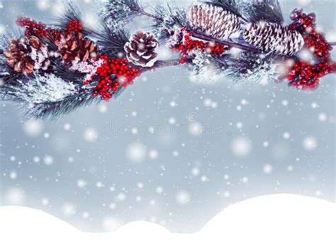 Winter Christmas Background With Snow And Fir Branches Frame Stock