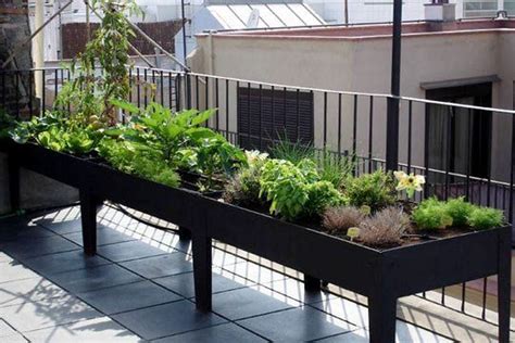 How To Grow A Balcony Vegetable Garden The Garden