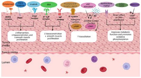 Pharmaceuticals Free Full Text Strategizing Drug Therapies In