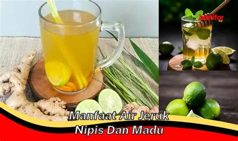 Temukan Manfaat Air Jeruk Nipis Dan Madu Yang Jarang Diketahui Biotifor