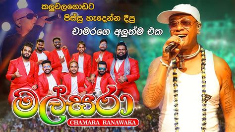 Malsara Chamara Ramawaka New Reggae Song කළවලගඩට පසස හදනන