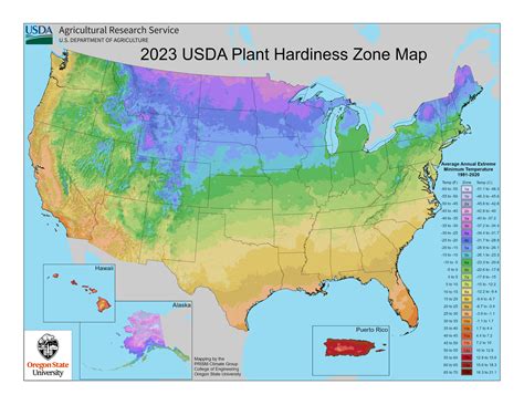 Plant Hardiness Zones Updated by USDA – Gary's Garden Center